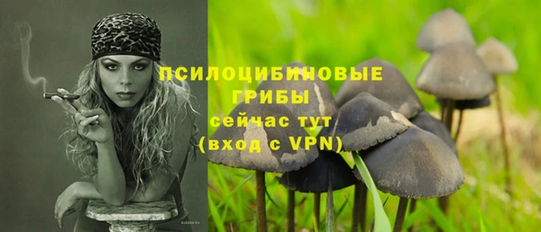 ГАЛЛЮЦИНОГЕННЫЕ ГРИБЫ Аркадак