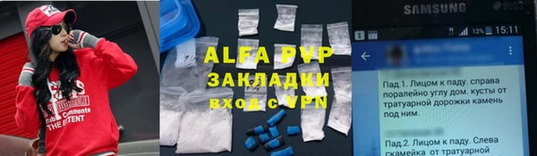 ГАЛЛЮЦИНОГЕННЫЕ ГРИБЫ Аркадак