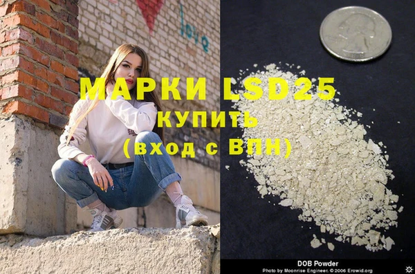 ГАЛЛЮЦИНОГЕННЫЕ ГРИБЫ Аркадак