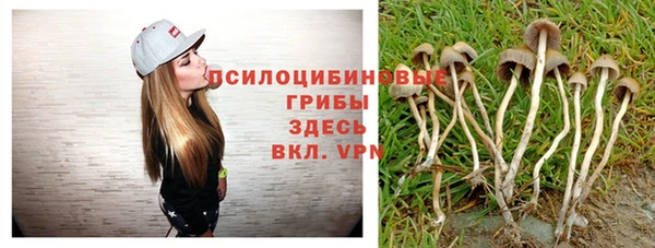 mdpv Арсеньев